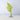 Small Maidenhair Fern Acrylic Flower