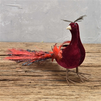 Dazzling Glittered Feathered Peacok