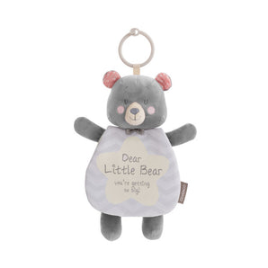 Dear Little Bear Stroller Stories