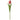 Coral Mini Tulip Stem
