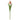 Dark Peach Mini Tulip Stem