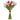 Pink & Rose Mini Tulip Bundle