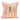 Gold Foil Light Pink Starkville Pillow