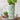 Verte Heirloom Vase