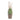 Topiary Candle