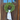 24" Cedar Wreath