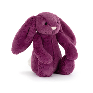 Little Bashful Allium Bunny