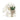 Jellycat Cream Bunny with Plant