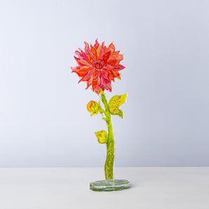 Large Sonic Bloom Dahlia Acrylic Flower