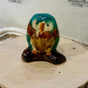 Wolfe Owl On A Log