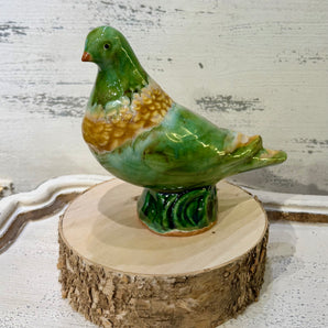 Wolfe Bird Ruff Neck Pigeon