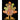 Wooden Turkey with Pumpkin