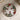 Etta B Baubles & Bows Plate
