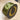 JME 2.5" Olive Smooth Velvet/Dupioni Ribbon