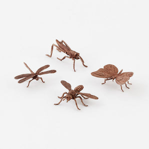 Bronze Bug