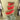 JME 4" Red Velvet Double Sided Trim Dupion Ribbon