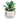 Shaped Succulent Pot
