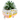 Shaped Succulent Pot
