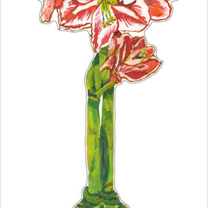 Large Red Star Amaryllis Acrylic Flower