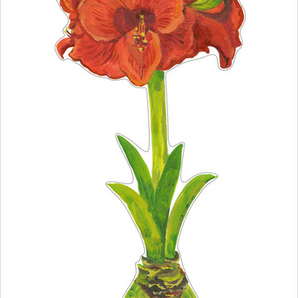 Large Red Orange Amaryllis Acrylic Flower