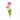 Small Pink Tulips Acrylic Floral