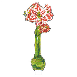 Small Red Star Amaryllis Acrylic Flower