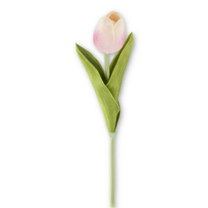 Pink Mini Tulip