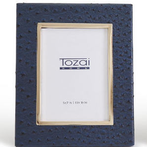 Navy Ostrich Frame