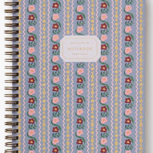 Delphine Notebook