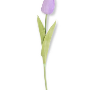 Light Purple Mini Tulip