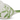 Green and White Bird