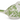 Green and White Bird