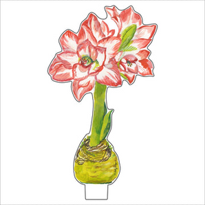 Small Blossom Peacock Amaryllis Acrylic Flower