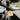Chasin Sunsets Air Car Freshner