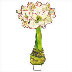 Small White  Amaryllis Acrylic Flower