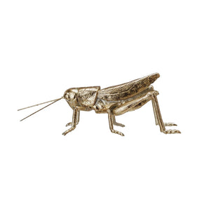 Gold Leaf Grasshopper