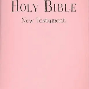 Tiny Testament Bible