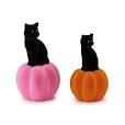 Black Cats on Velvet Pumpkins