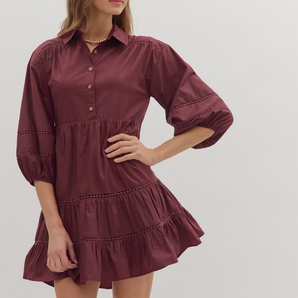 Solid Wine Mini Dress