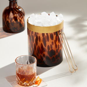 Tortoise Ice Bucket Set